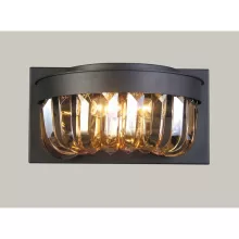 Настенный светильник Amber 1657-2W купить с доставкой по России
